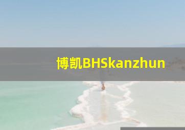 博凯BHSkanzhun