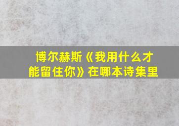 博尔赫斯《我用什么才能留住你》在哪本诗集里