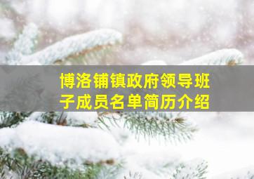 博洛铺镇政府领导班子成员名单简历介绍