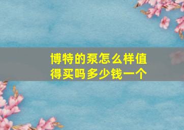 博特的泵怎么样值得买吗多少钱一个