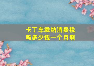 卡丁车缴纳消费税吗多少钱一个月啊