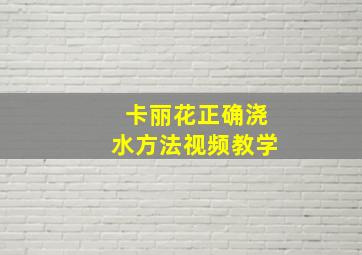 卡丽花正确浇水方法视频教学