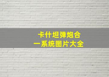 卡什坦弹炮合一系统图片大全