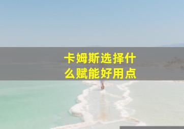 卡姆斯选择什么赋能好用点