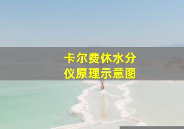 卡尔费休水分仪原理示意图