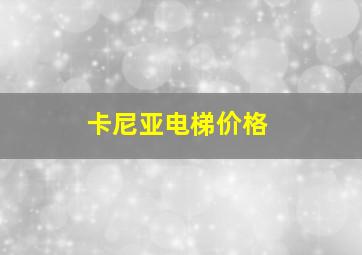 卡尼亚电梯价格