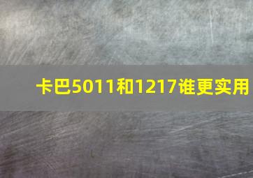 卡巴5011和1217谁更实用