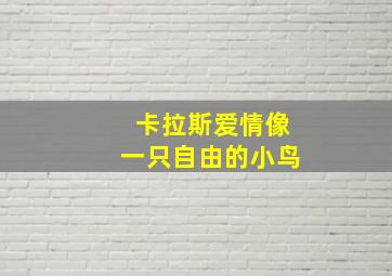 卡拉斯爱情像一只自由的小鸟