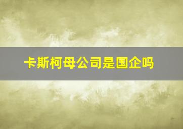 卡斯柯母公司是国企吗