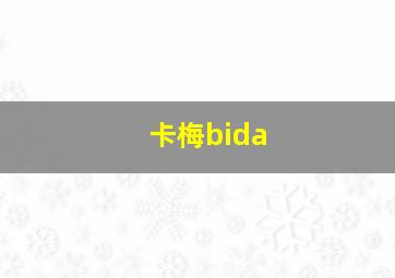 卡梅bida