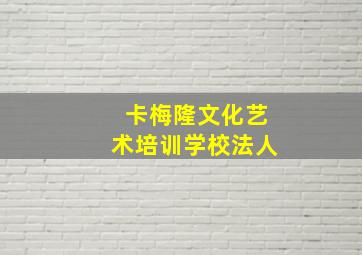 卡梅隆文化艺术培训学校法人