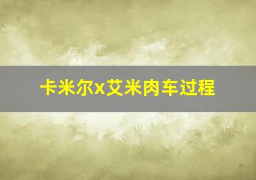 卡米尔x艾米肉车过程