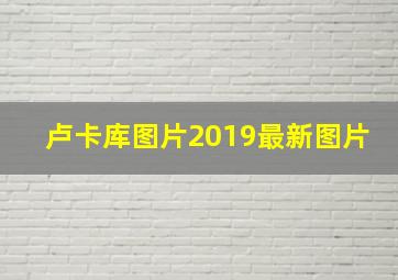 卢卡库图片2019最新图片