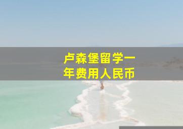 卢森堡留学一年费用人民币