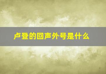 卢登的回声外号是什么