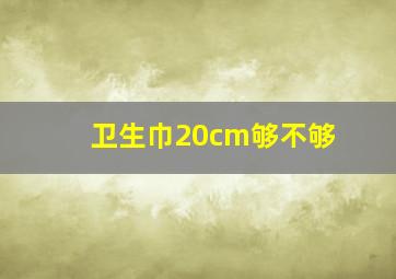 卫生巾20cm够不够