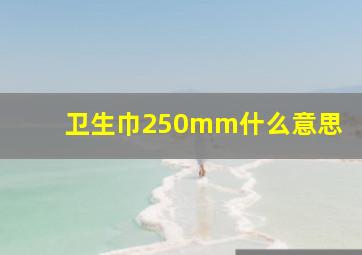 卫生巾250mm什么意思