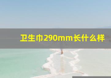 卫生巾290mm长什么样