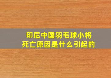 印尼中国羽毛球小将死亡原因是什么引起的