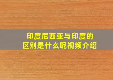 印度尼西亚与印度的区别是什么呢视频介绍