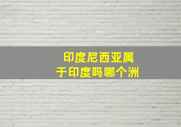 印度尼西亚属于印度吗哪个洲