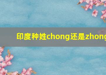 印度种姓chong还是zhong