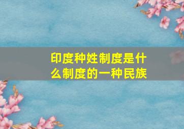 印度种姓制度是什么制度的一种民族