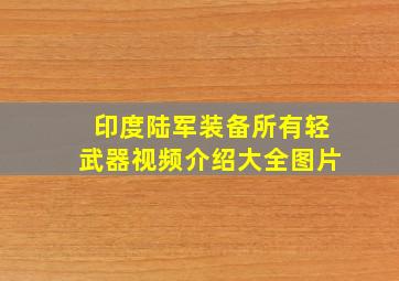 印度陆军装备所有轻武器视频介绍大全图片