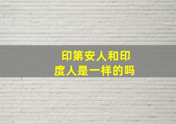 印第安人和印度人是一样的吗