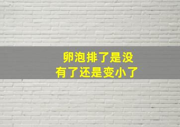 卵泡排了是没有了还是变小了