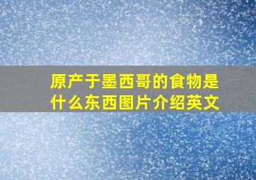 原产于墨西哥的食物是什么东西图片介绍英文