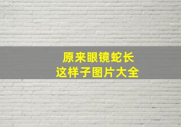 原来眼镜蛇长这样子图片大全