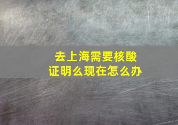 去上海需要核酸证明么现在怎么办