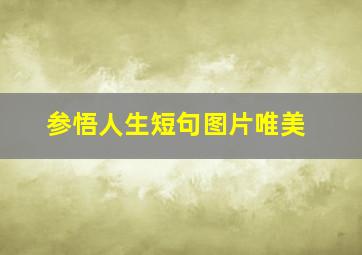 参悟人生短句图片唯美