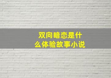 双向暗恋是什么体验故事小说