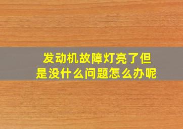 发动机故障灯亮了但是没什么问题怎么办呢