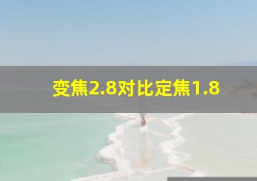 变焦2.8对比定焦1.8