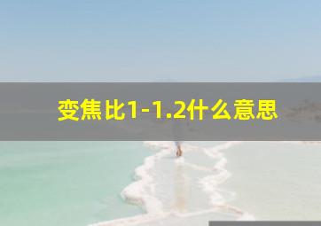 变焦比1-1.2什么意思