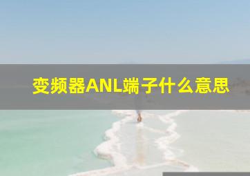 变频器ANL端子什么意思