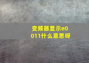 变频器显示e0011什么意思呀