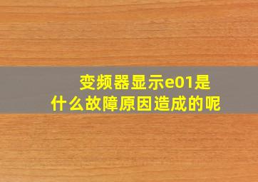 变频器显示e01是什么故障原因造成的呢