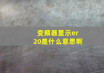 变频器显示er20是什么意思啊