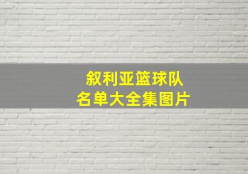 叙利亚篮球队名单大全集图片