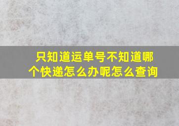 只知道运单号不知道哪个快递怎么办呢怎么查询