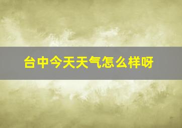 台中今天天气怎么样呀