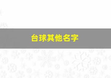 台球其他名字