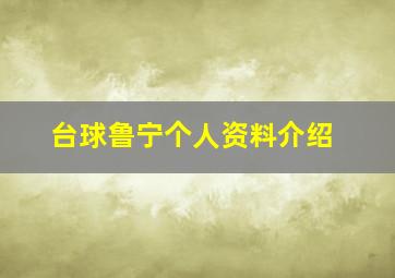 台球鲁宁个人资料介绍