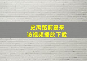 史禹铭前妻采访视频播放下载