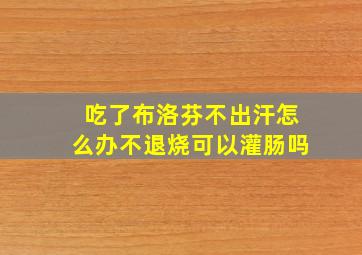 吃了布洛芬不出汗怎么办不退烧可以灌肠吗