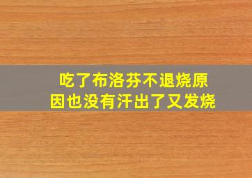 吃了布洛芬不退烧原因也没有汗出了又发烧